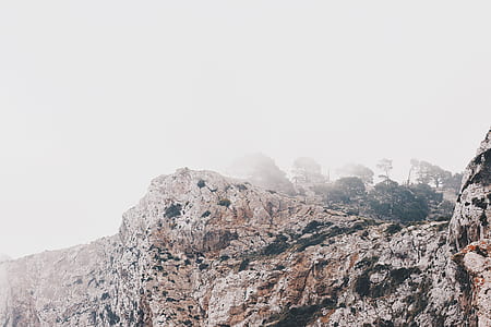 mountain covered with fog thumbnail