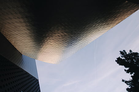 architectural photography of building thumbnail