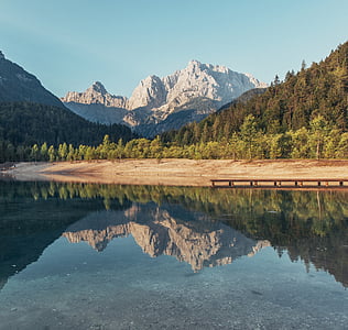 lake in forest thumbnail