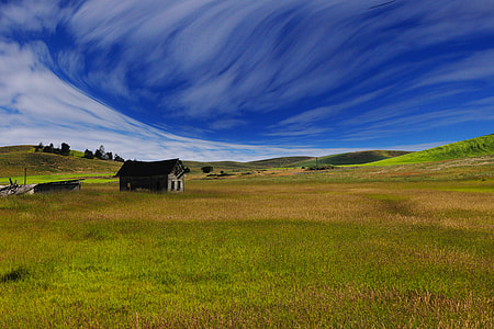 brown shed on field under sky thumbnail
