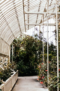 green plants and trees under sunny sky thumbnail