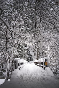 concrete bridge covered with snow during daytime thumbnail