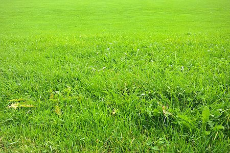 green field thumbnail