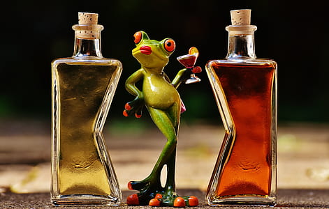 green frog between two glass bottles thumbnail