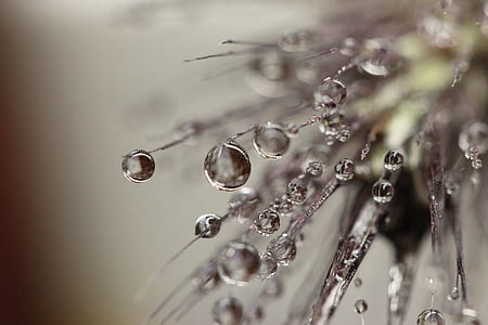 selective focus photography of water dew on fiber thumbnail