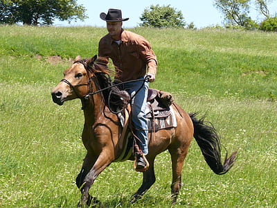 man riding horse during daytime thumbnail