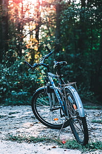 blue and black hardtail bike beside of sidewalk and green leafed plants during daytime thumbnail