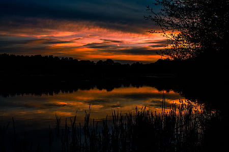 silhouette of body of water near woods thumbnail