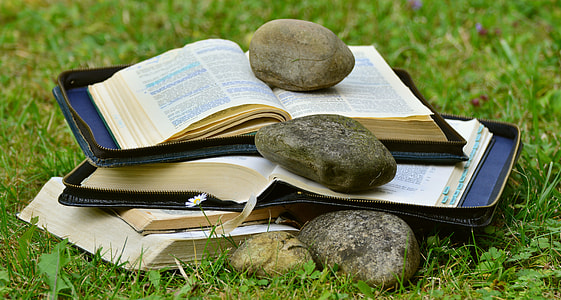 brown rock on top of opened book thumbnail