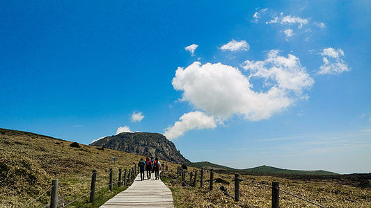 people walking on brown wooden pathway surrounded by green grass field overlooking mountains at daytime thumbnail