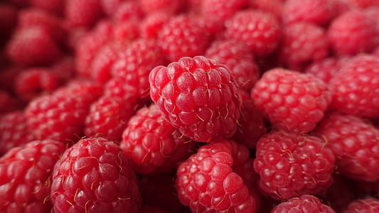 close-up photo of red raspberries thumbnail