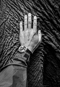 Grayscale Photo of Arm Holding Elephant Skin. thumbnail