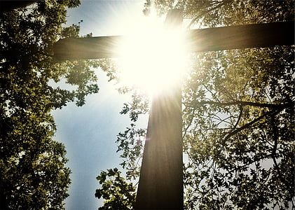 black cross under the trees thumbnail