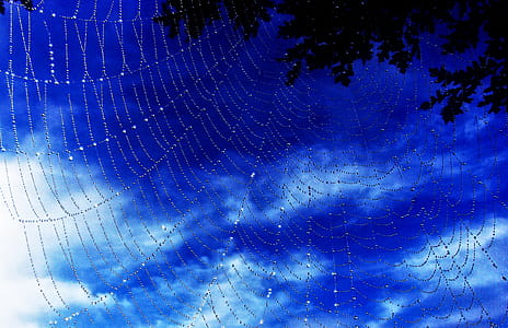 Dew Drops On Spider Web - A New Morning thumbnail