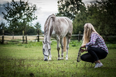 woman in plaid dress shirt near white and brown horse thumbnail