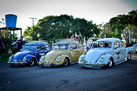 three classic blue, brown and sky-blue Volkswagen Beetles during daytime thumbnail