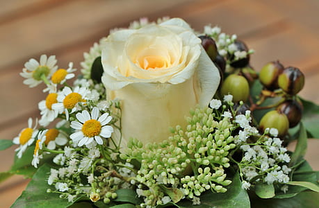 yellow rose and white-and-yellow daisy flowers thumbnail