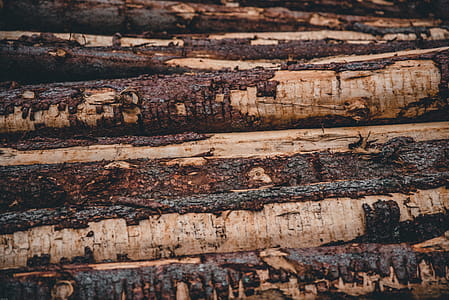 Piled Brown Tree Logs thumbnail