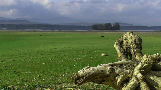 Green, Slovakia thumbnail