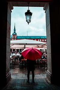 Person Holding Red Umbrella thumbnail