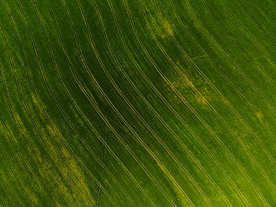 landscape, earth, green, grow thumbnail