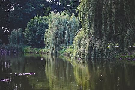 lake photography during daytime thumbnail