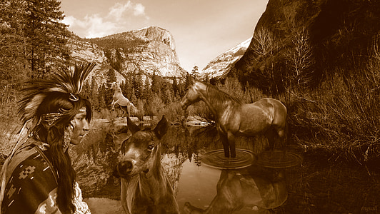 grayscaled photo of native american man thumbnail