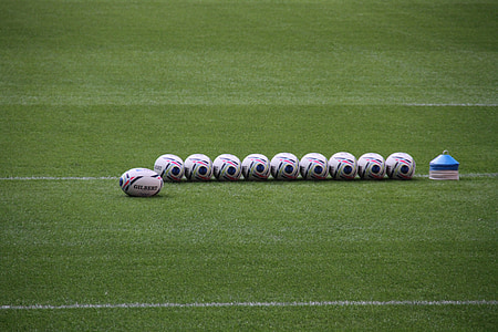 white soccer balls on green grass field thumbnail