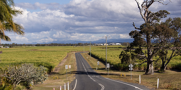 narrow asphalt road near grass thumbnail