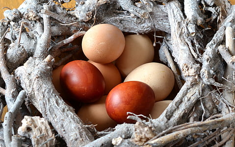 brown and beige eggs thumbnail