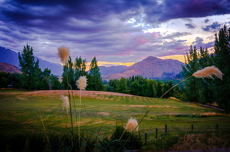 green grass hill under dark sky thumbnail