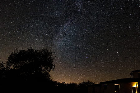 stars during nighttime thumbnail