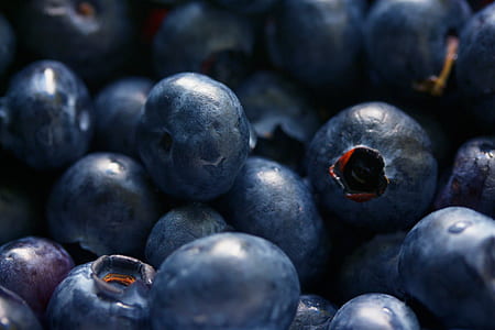 blueberries thumbnail