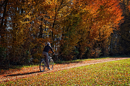 person riding on bicycle while traveling on pathway thumbnail