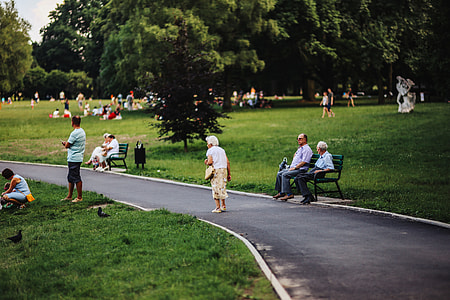 A sunny day at the park thumbnail