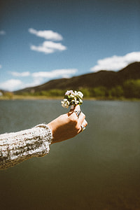 shallow focus photography of woman holding white flowers near large body of water during daytime thumbnail
