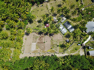bird's eye view photo of crop field thumbnail
