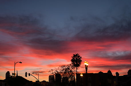silhouette of trees and buildings thumbnail