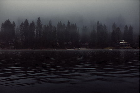 body of water near trees thumbnail