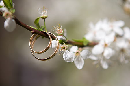 selective focus photography of two gold-colored rings thumbnail