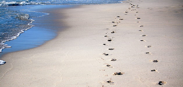 footprints on beach thumbnail
