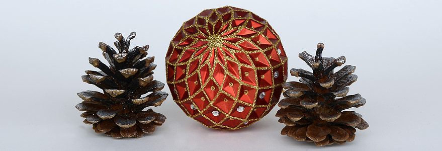 red ball ornament in between two pine cones thumbnail