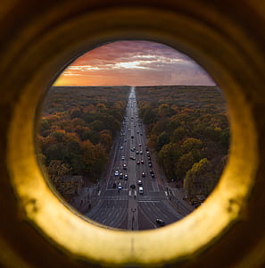 window view photography of road surrounded by trees thumbnail