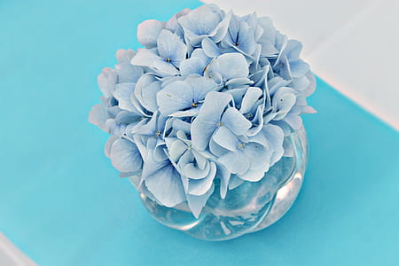 blue hydrangea flower arrangement thumbnail