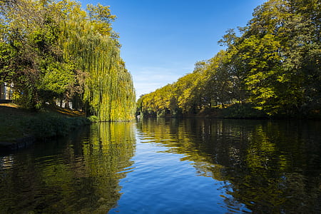 still body of water surrounded by green trees under blue skie thumbnail
