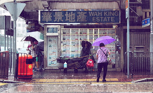 person holding umbrella during rainy season thumbnail