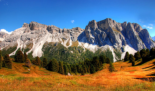 green leafed trees behind moutain thumbnail