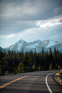 green trees thumbnail