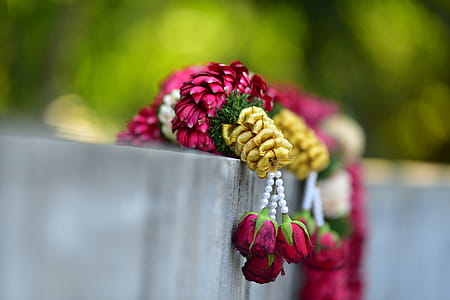 Selective Focus Photography of Red Rose Flower Decor thumbnail