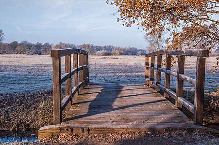 brown wooden bridge beside tree thumbnail